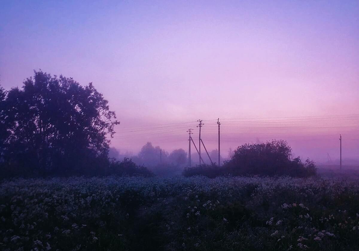读茶杯狐时容易忽略的二手转述：用用类比辅助理解补全理解，茶杯狐(upfox)