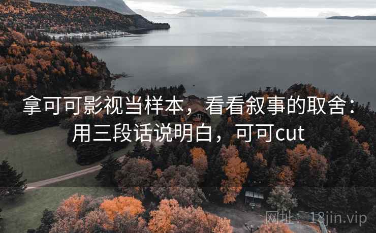 拿可可影视当样本,看看叙事的取舍:用三段话说明白,可可cut